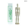 MG Traders Miniature E031412 Wooden Manikin 12 Inch Male