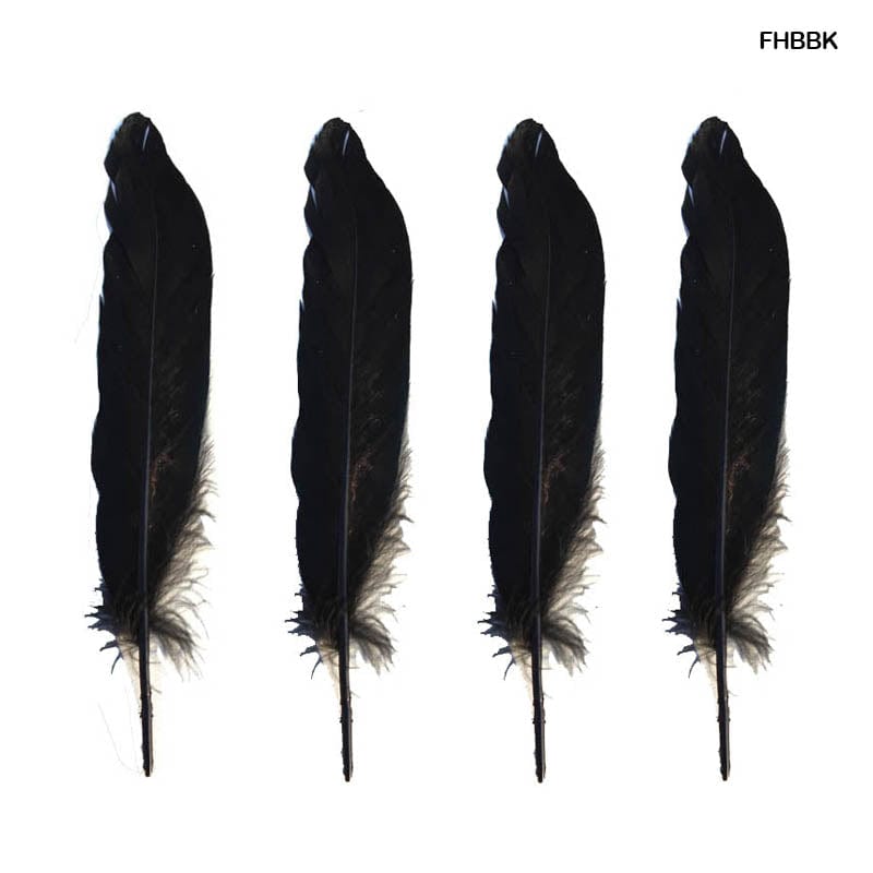 MG Traders Pack Feather Feather Hard Big Black (Fhbbk) (10Pcs)  (Contain 1 Unit)