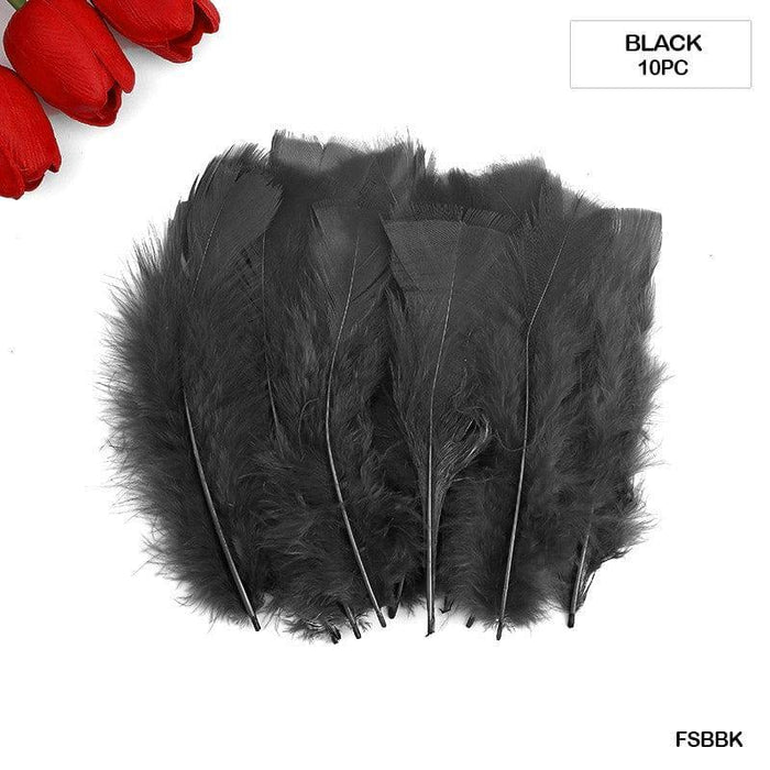 Soft Black Craft Feathers (Large Size, 10 Pieces)