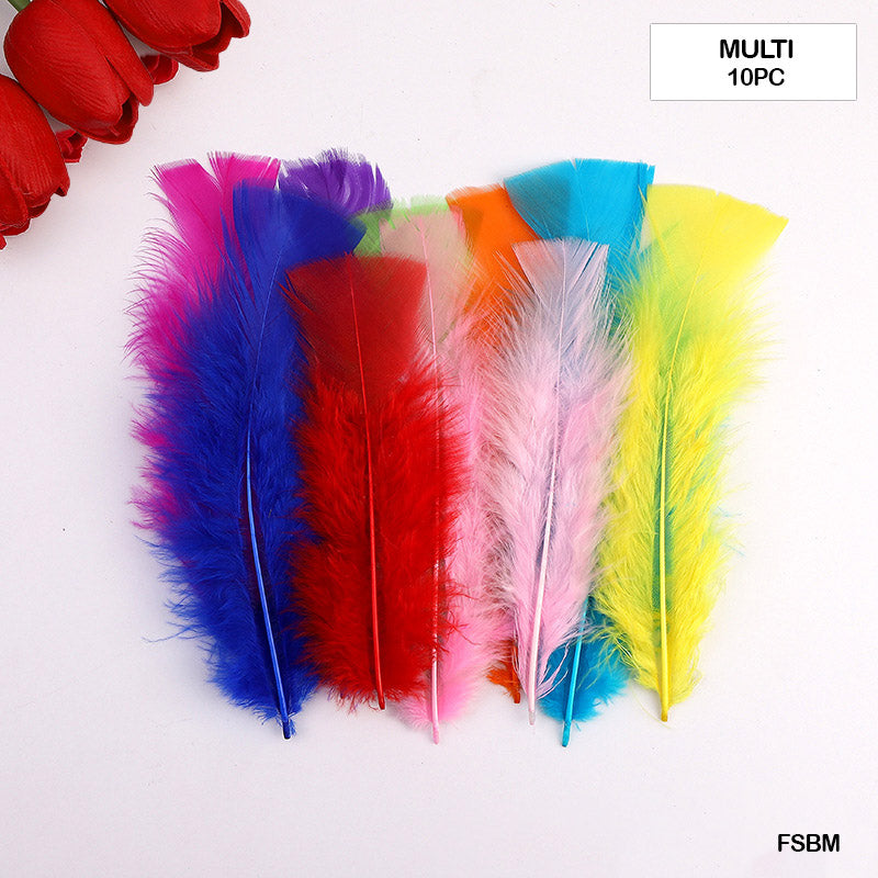 MG Traders Pack Feather Feather Soft Big Multi (Fsbm) (10Pcs)  (Contain 1 Unit)