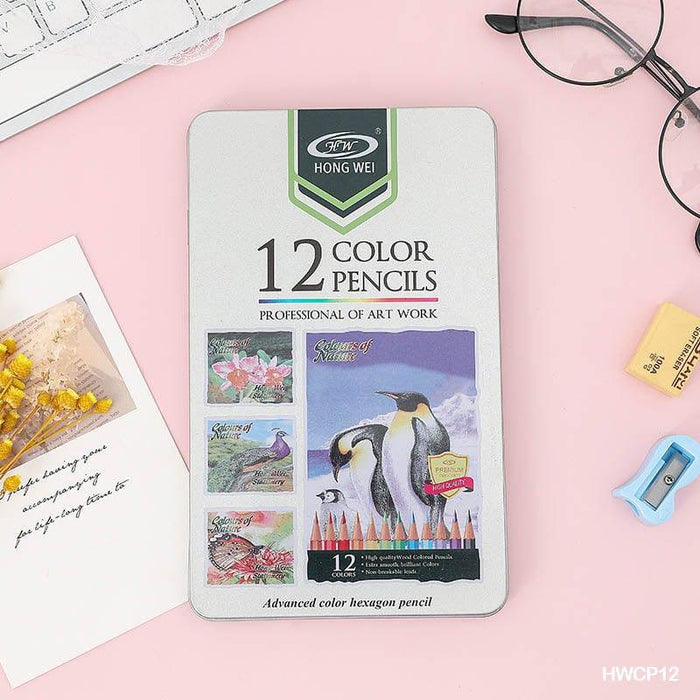 12 Premium Advanced Color Pencils for Artists & Crafters