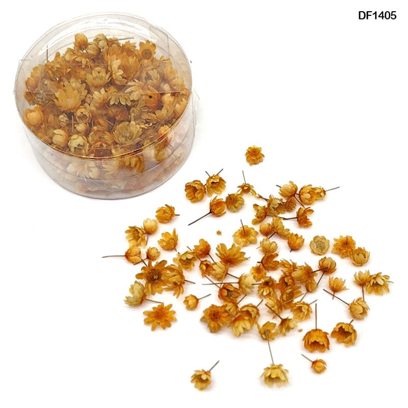 MG Traders Resin Products Df1405 Dry Flower 140Pcs Round Box Orange