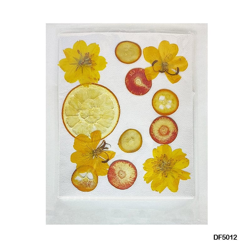 MG Traders Resin Products Df5012 Pressed Fruit Flower Sheet