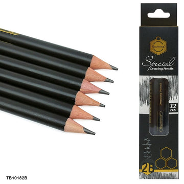 12Pc 2B Special Drawing Pencil (Tb10182B)