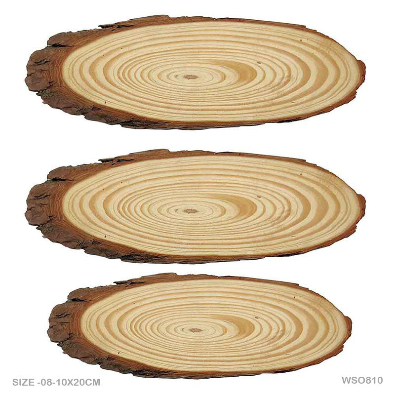 MG Traders wooden plates Wooden Slice Oval 8-10X20Cm (Wso810)