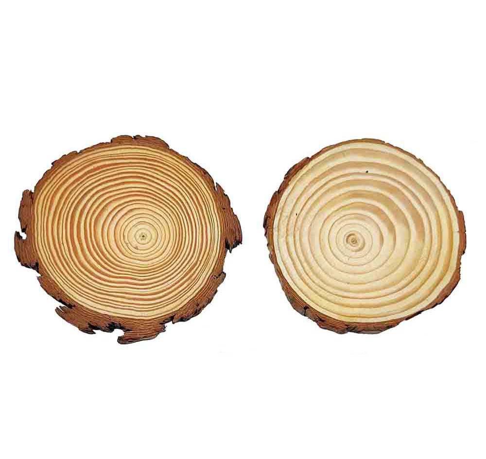 MG Traders wooden plates Wooden Slice Round 12-13X1Cm (Wsr1213)  (Pack of 4)