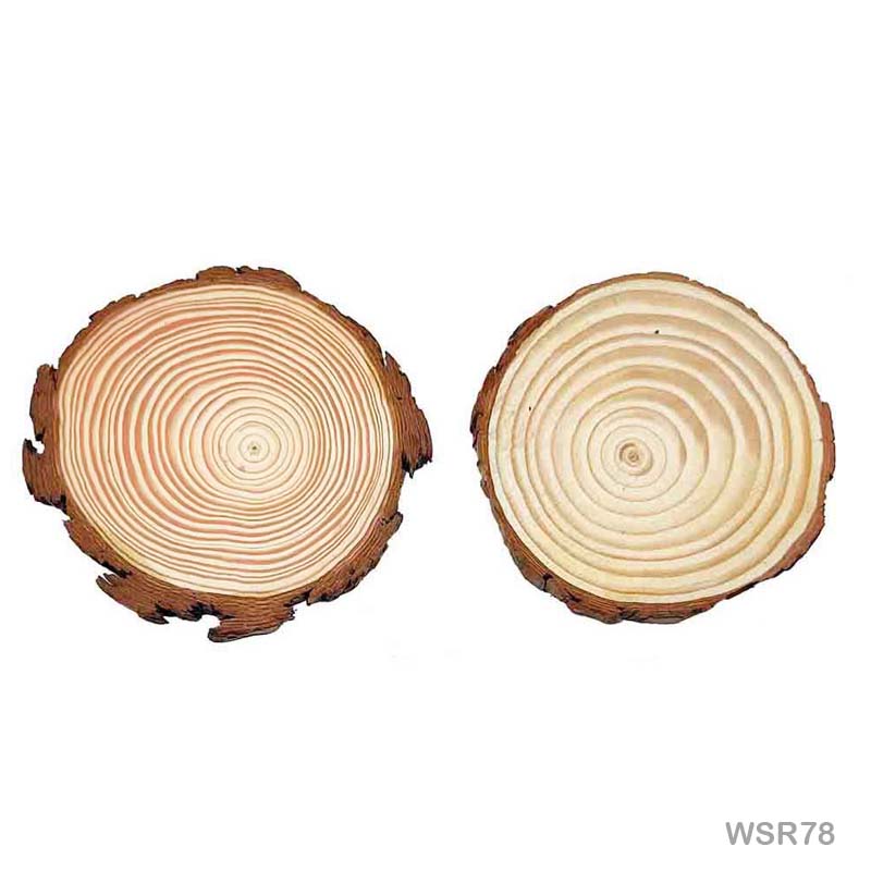 MG Traders wooden plates Wooden Slice Round 7-8X1Cm (Wsr78)  (Pack of 6)