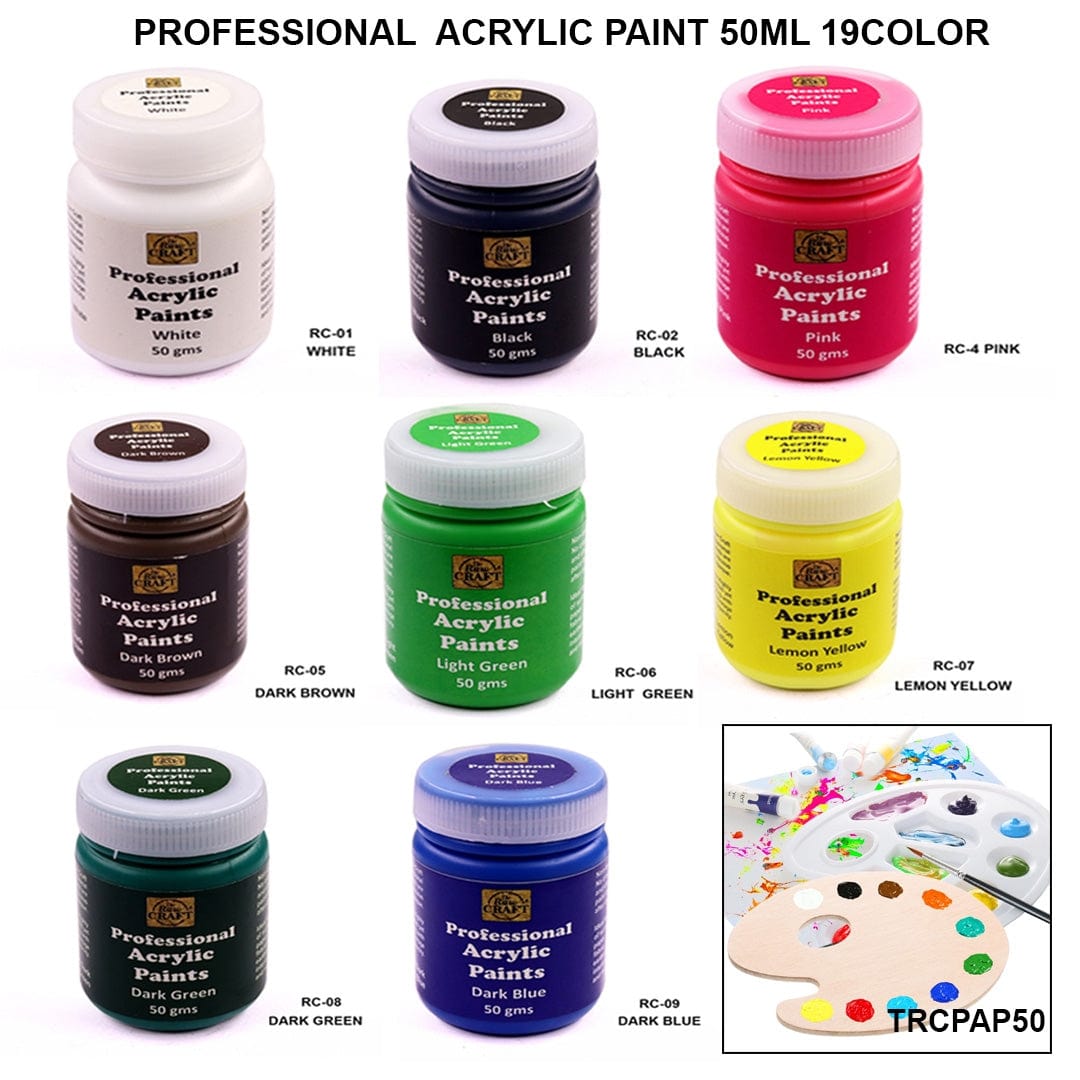 Ravrai Craft - Mumbai Branch Acrylic Painter Ink PROFESSIONAL ACRYLIC PAINT 50ML TRCPAP50