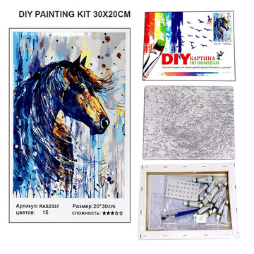 DIY Painting Kit 30X20Cm