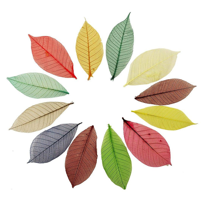Colorful Skeleton Leaves – Aesthetic DIY Craft, Wedding & Home Decor | Pack of 1