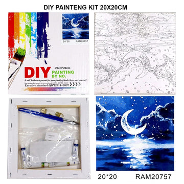 DIY Painting Kit 20X20Cm
