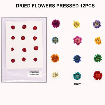 DRIED FLOWERS PRESSED (set of 12 pieces)