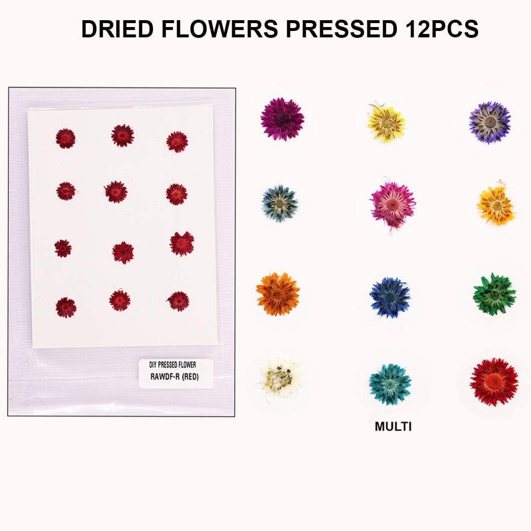 Ravrai Craft - Mumbai Branch Craft DRIED FLOWERS PRESSED (set of 12 pieces)