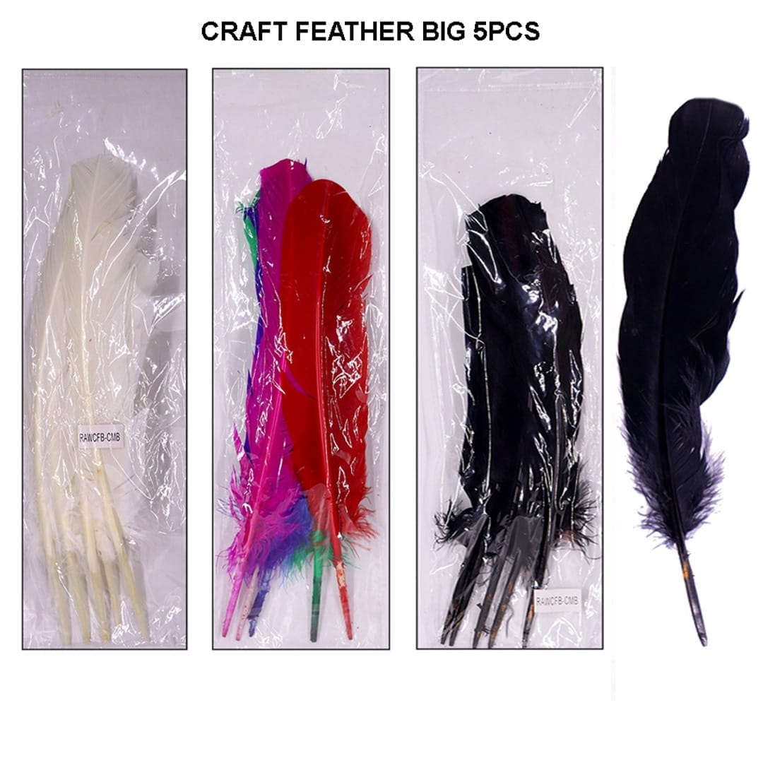 Ravrai Craft - Mumbai Branch Decoration Supplies Assorted Craft Feathers: Large Size Pack of 5