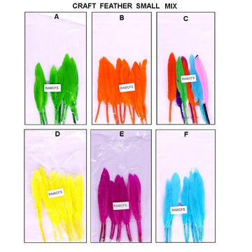 Assorted Craft Feathers: Small Size