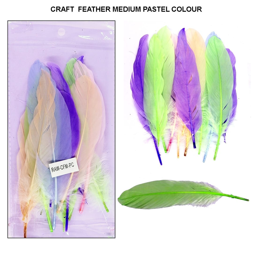 Ravrai Craft - Mumbai Branch Decoration Supplies Assorted Pastel Colour Craft Feathers: Medium Size