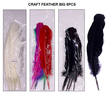 Craft Feather Big 5Pcs