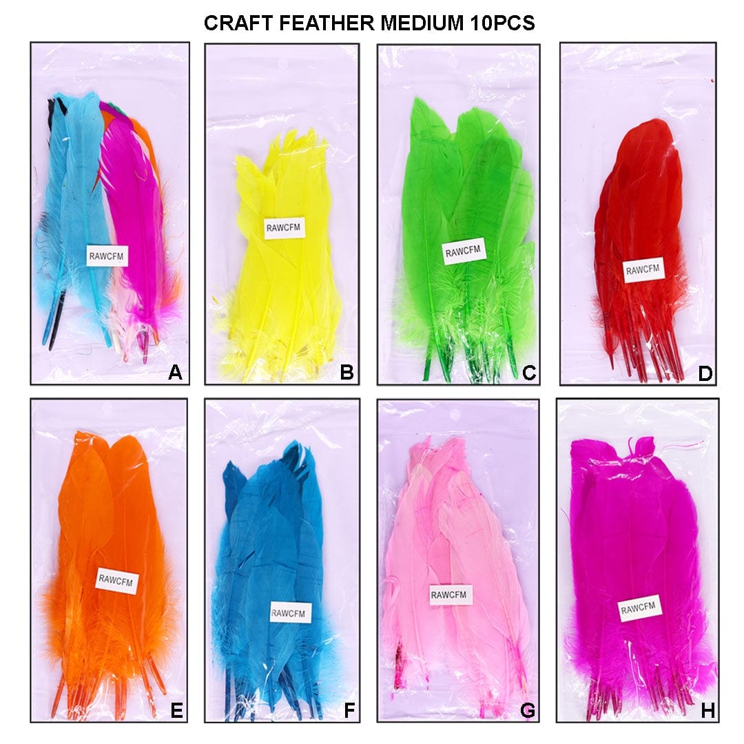 Ravrai Craft - Mumbai Branch Decoration Supplies Craft Feather Medium 10Pcs