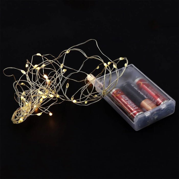 LED Fairy Lights 3Mtr x 2Aa
