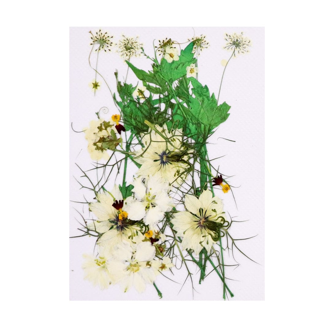 Ravrai Craft - Mumbai Branch Resin Art Dry Flowers Add Timeless Elegance to Your Decor with Dried Flowers Pressed for Lasting Beauty - RAWFD-A148