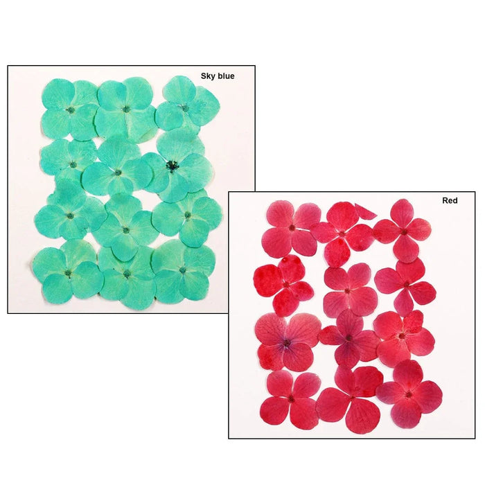Aesthetic Pressed Petal Flowers – Resin Art & Nail Decoration | Pack of 1
