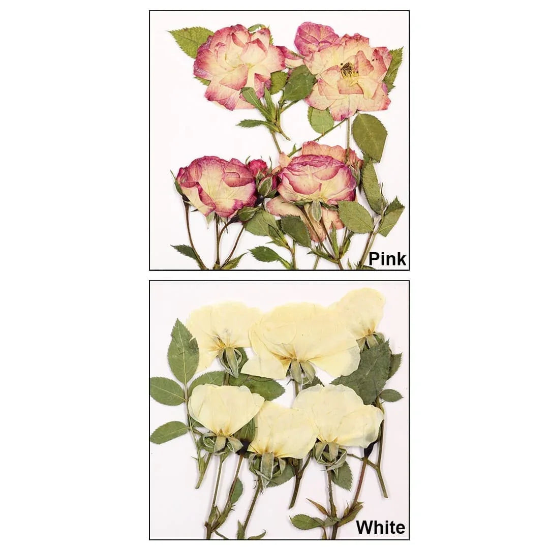 Ravrai Craft - Mumbai Branch Resin Art Dry Flowers Dried flowers pressed