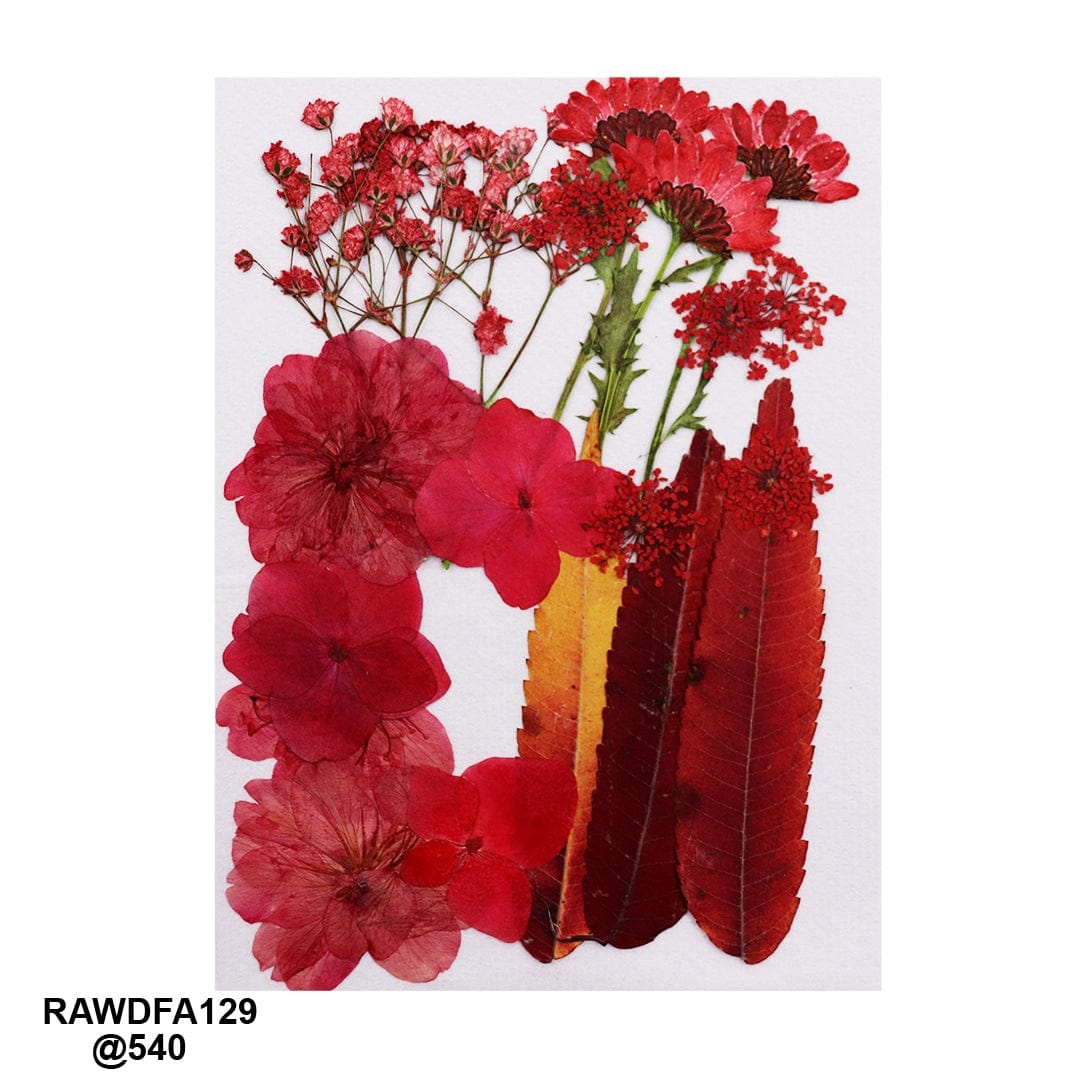 Ravrai Craft - Mumbai Branch Resin Art Dry Flowers Dried Flowers Pressed Big