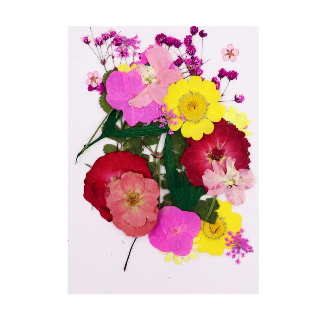 Ravrai Craft - Mumbai Branch Resin Art Dry Flowers Dried flowers pressed big