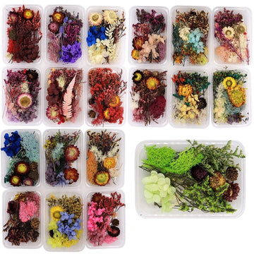Natural Dried Flowers For Resin Art at Rs 200/box in Mumbai