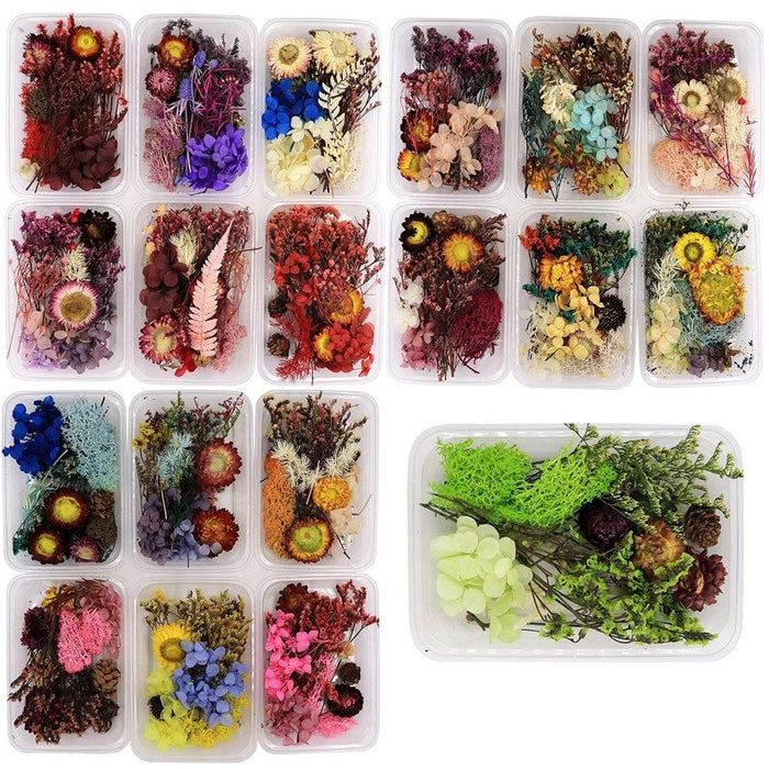 Assorted Dry Flower Box – For Resin, Journaling, Cards & Decor (1 Box)