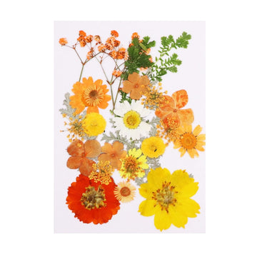 Ravrai Craft - Mumbai Branch Resin Art Dry Flowers Elevate Your Floral Designs with High-Quality Dried Flowers Pressed to Last - RAWFD-A153