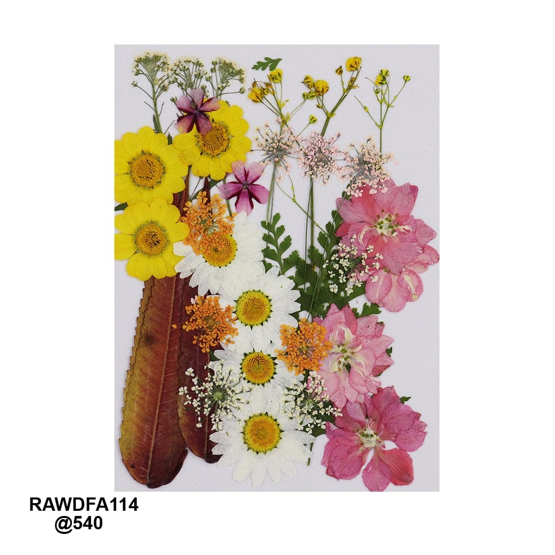 Ravrai Craft - Mumbai Branch Resin Art Dry Flowers High-Quality Big Pressed Dried Flowers | RAWDF-A114