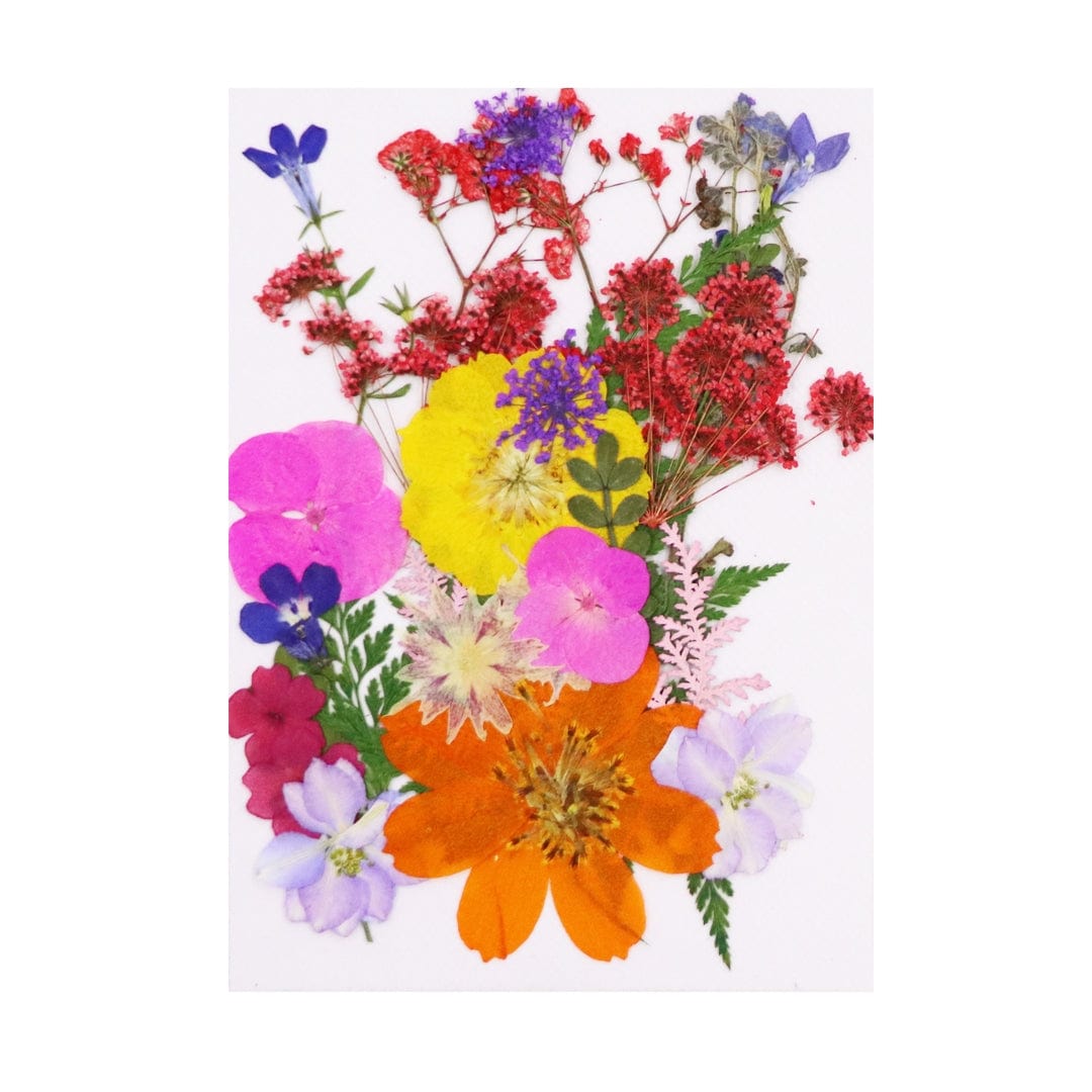Ravrai Craft - Mumbai Branch Resin Art Dry Flowers High-Quality Dried Flowers Pressed for Lasting Beauty - RAWFD-A144