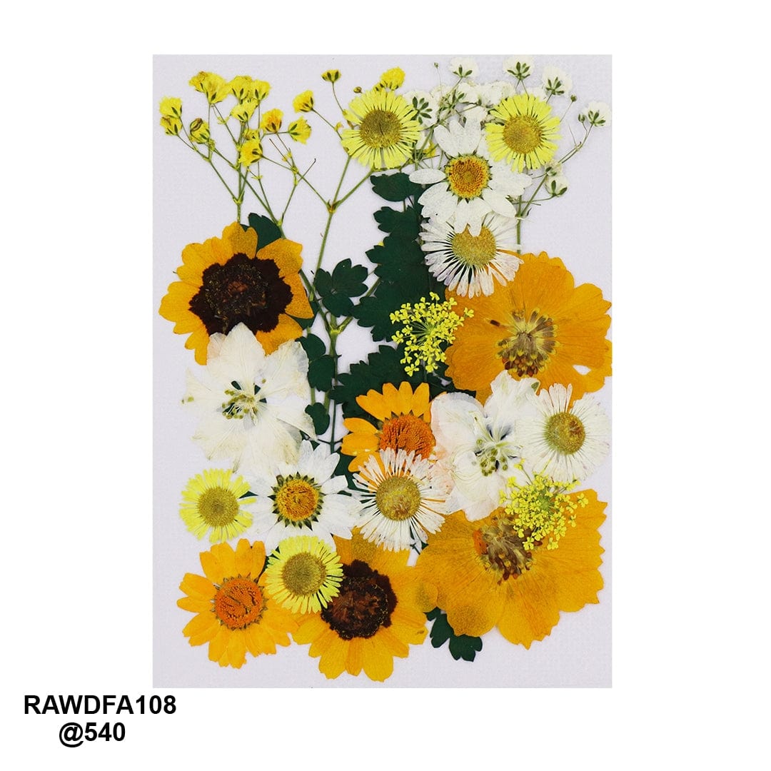 Ravrai Craft - Mumbai Branch Resin Art Dry Flowers Premium Big Pressed Dried Flowers | Perfect for DIY Projects