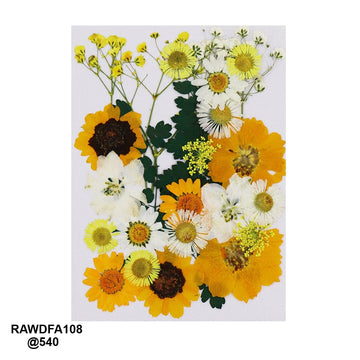 Ravrai Craft - Mumbai Branch Resin Art Dry Flowers Premium Big Pressed Dried Flowers | Perfect for DIY Projects