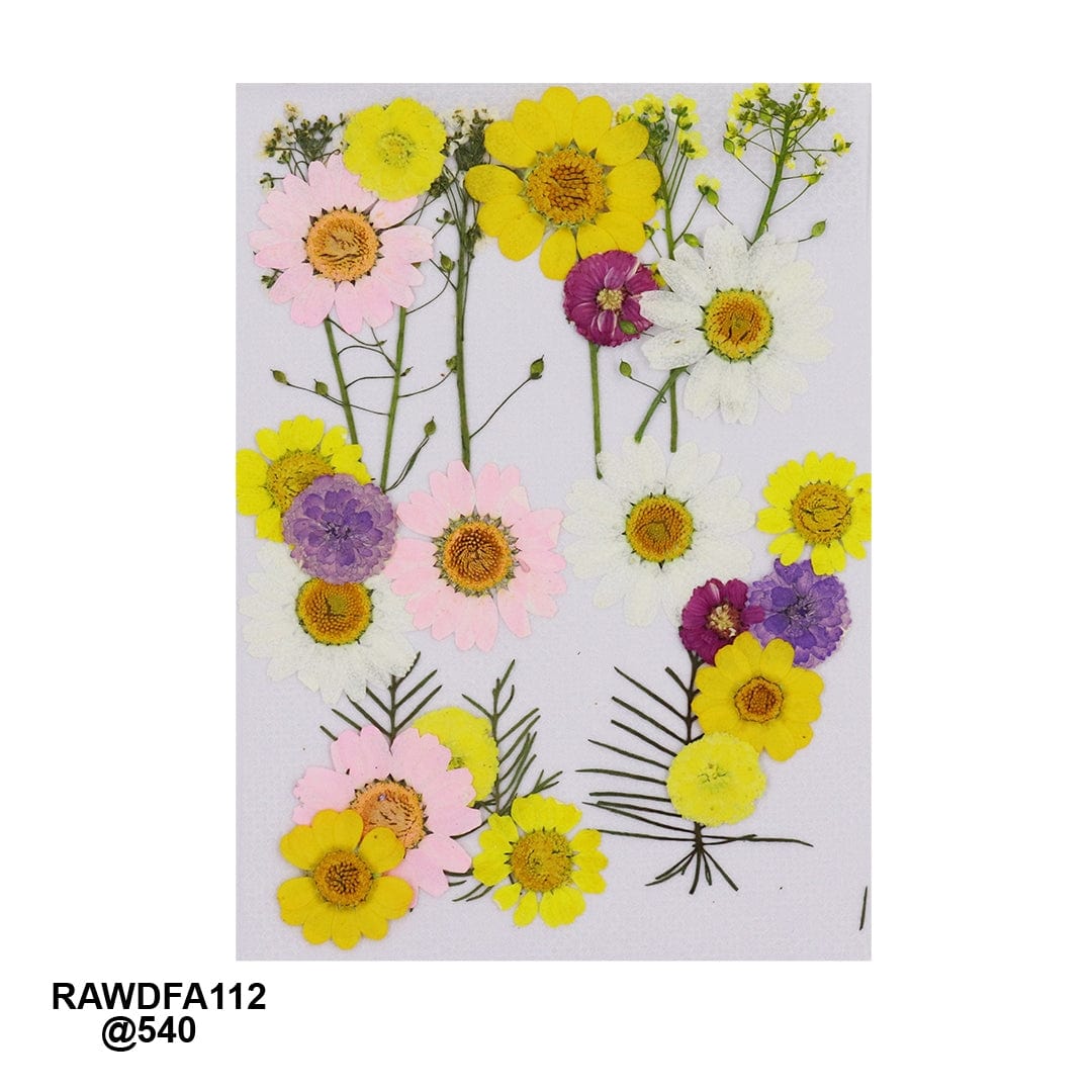 Ravrai Craft - Mumbai Branch Resin Art Dry Flowers Premium Big Pressed Dried Flowers | RAWDF-A112