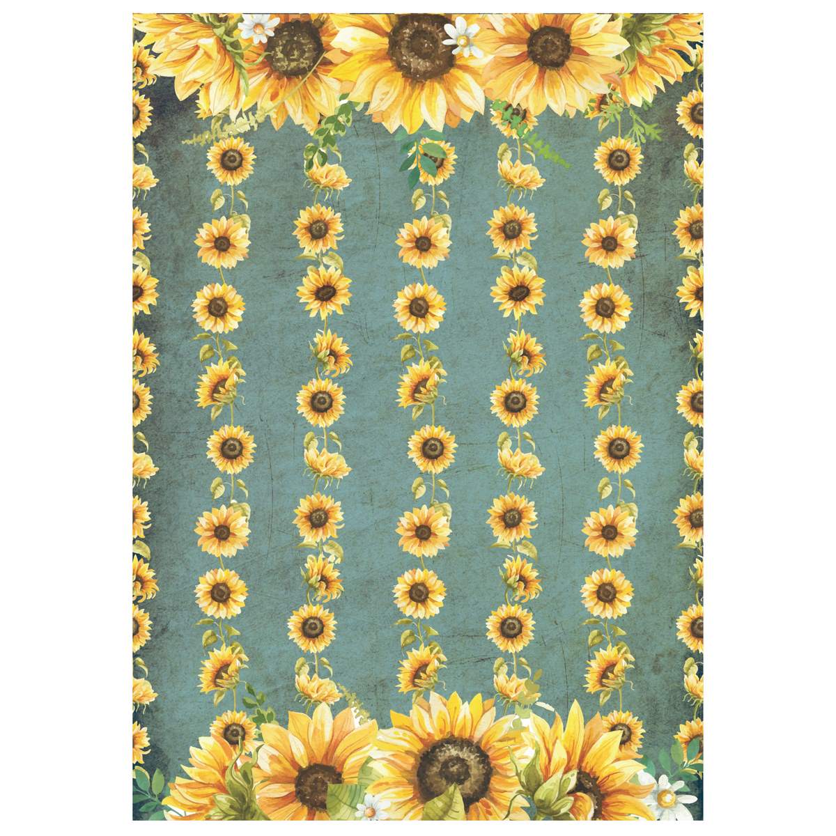 jags-mumbai Scrapbook Scrapbooking paper packs ,printed greeting papers of Jags Paper Helianthus A4 Inch JPHA4X24