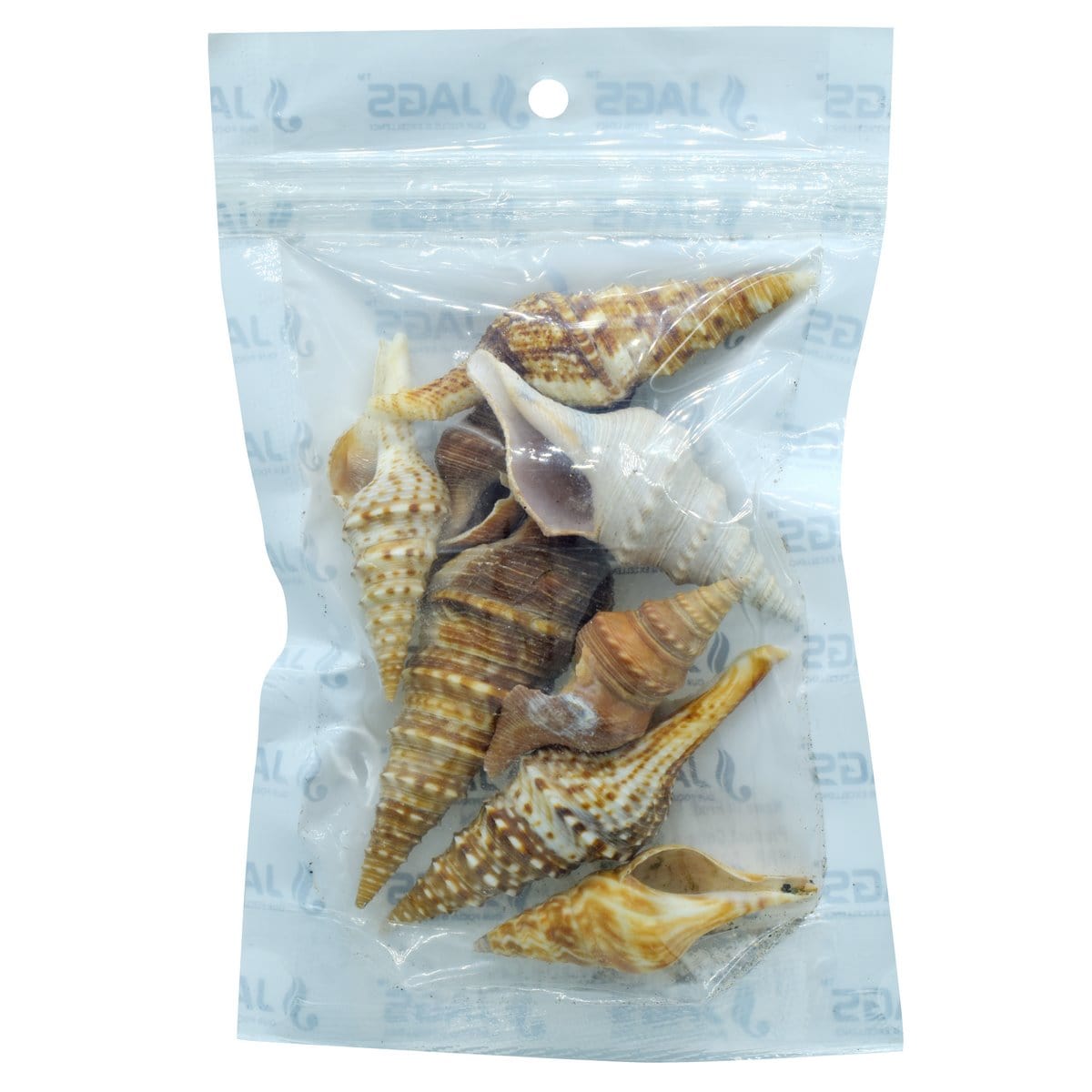 jags-mumbai Resin Shells for resin art (pack of 50gm)