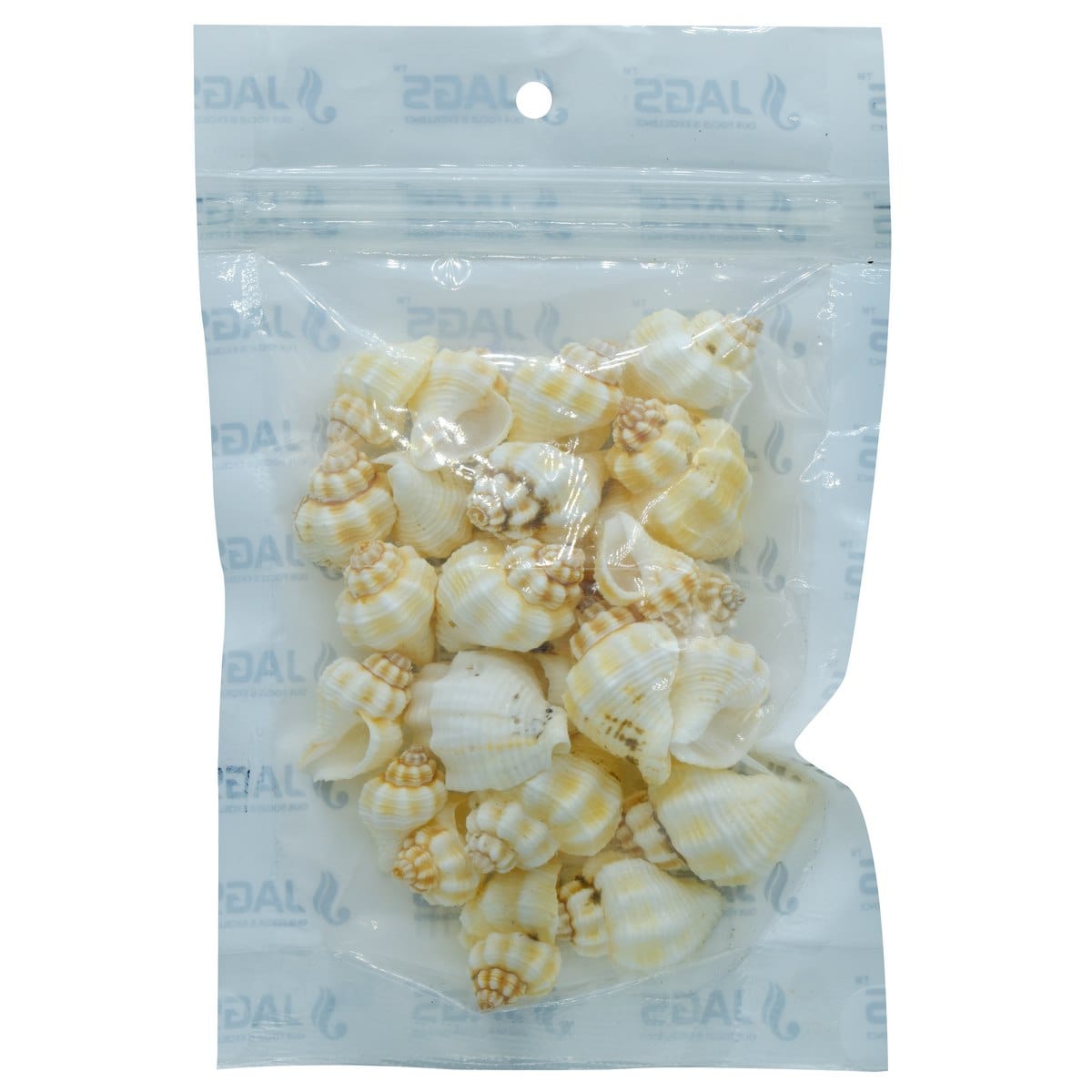 jags-mumbai Resin Shells for resin art (pack of 50gm)