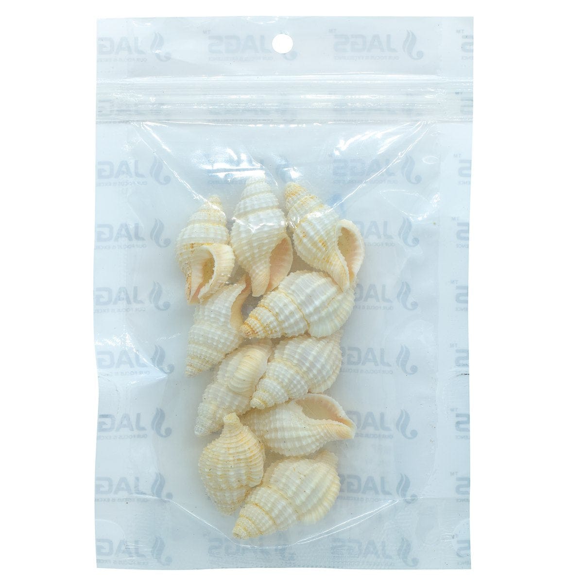 jags-mumbai Shells Accessories Shells Jasmine 10pcs SAJ-32