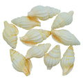 jags-mumbai Shells Accessories Shells Jasmine 10pcs SAJ-32