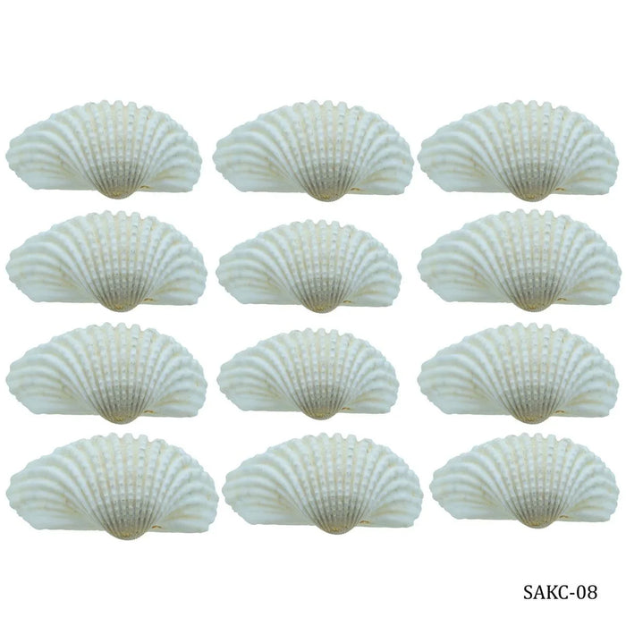 Shells kakinada Chippi 100gm SAKC-08