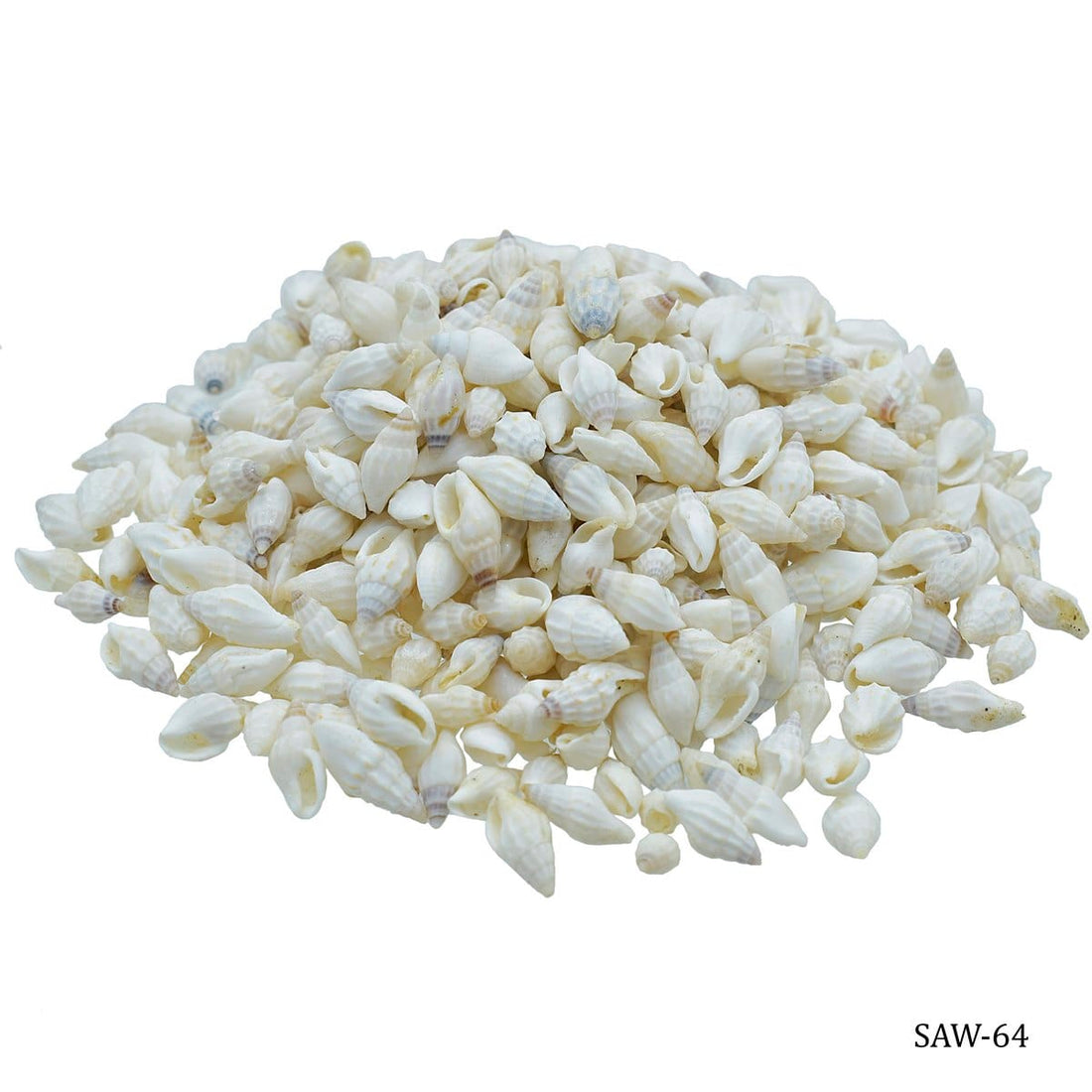 jags-mumbai Shells Accessories Shells White Oori Sangh Mani 100gm SAW-64