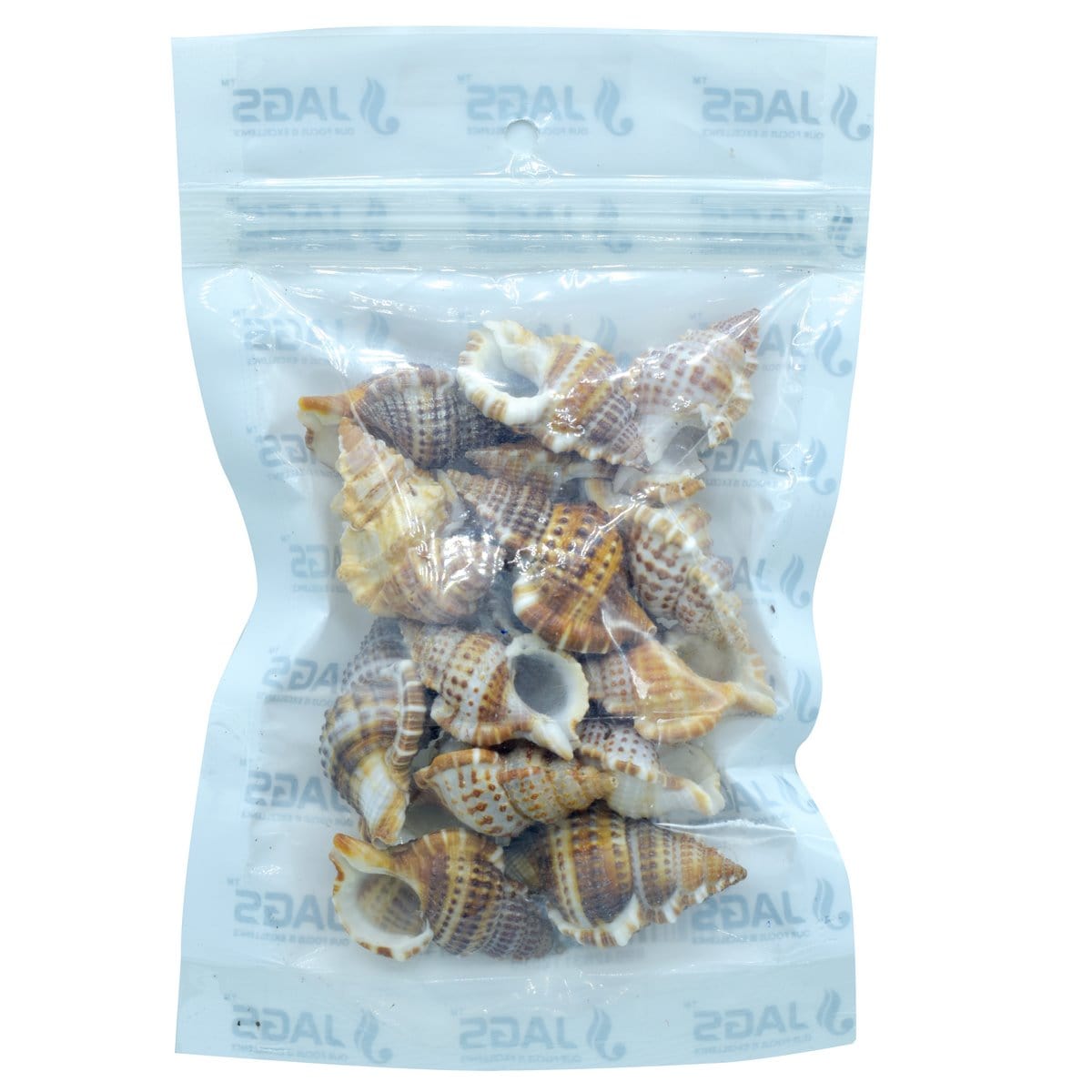 jags-mumbai Resin Small Sea Shells 50gm