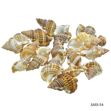 jags-mumbai Resin Small Sea Shells 50gm