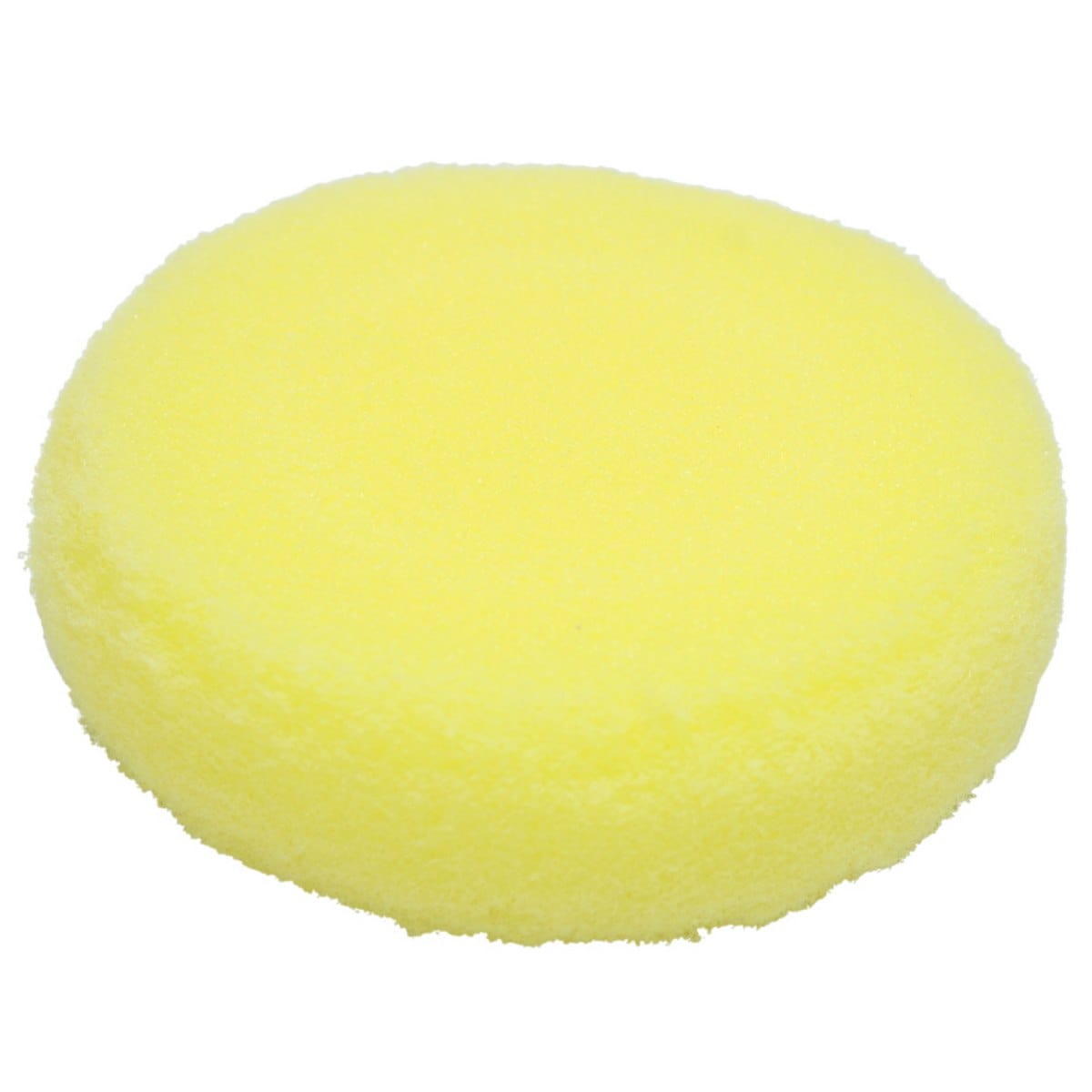 jags-mumbai 1 Sponge Brush Items Sponge Brush Set 2pcs Round PWB-028