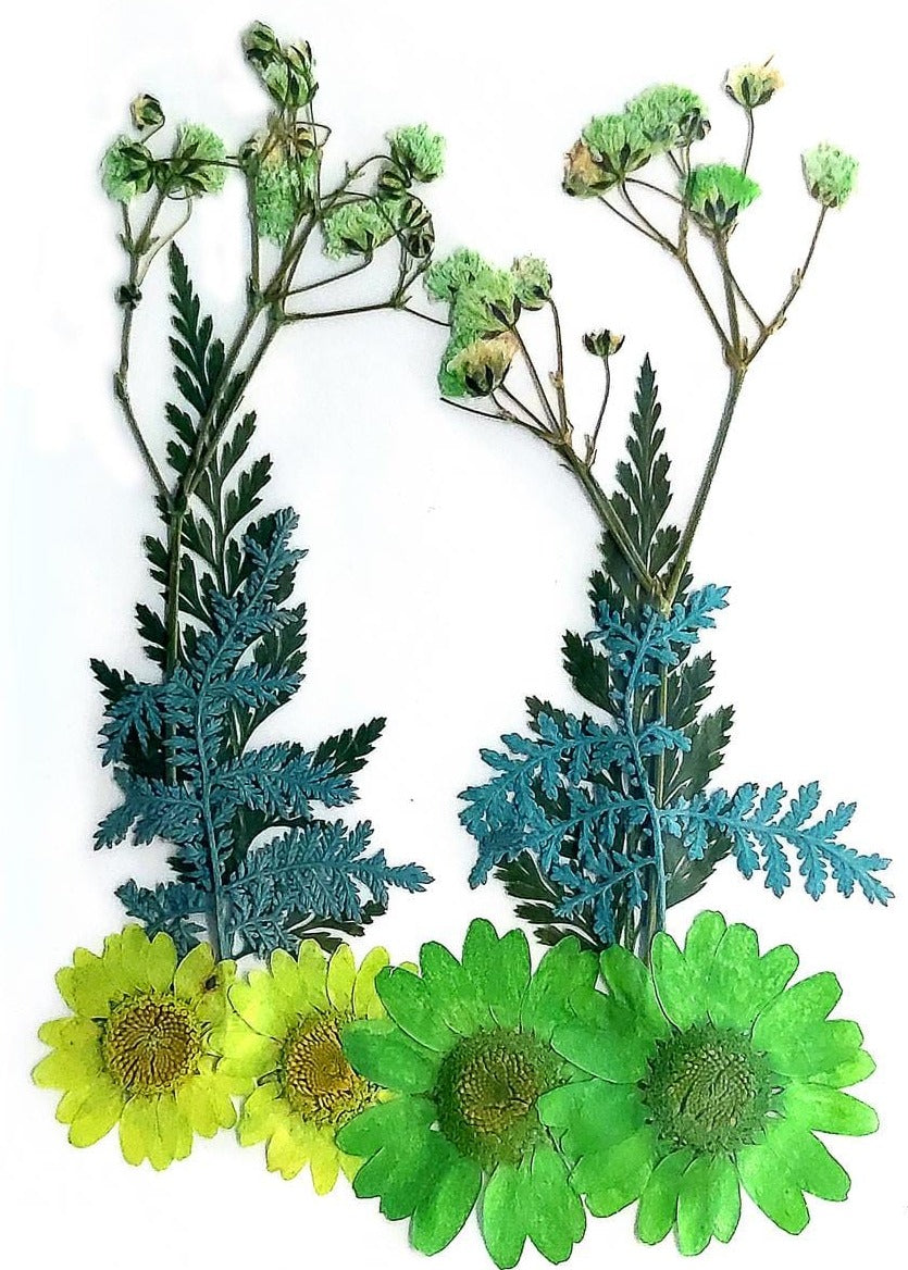 jags-mumbai Resin Art & Supplies Dried Flower Design 10 Pcs | DIY Resin Jewelry & Art Crafts | Natural, Non-Toxic YW-21