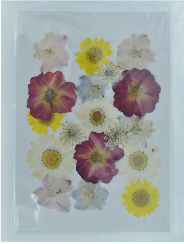 jags-mumbai Resin Art & Supplies Dried Flower Design 18 Pcs YWFL-13