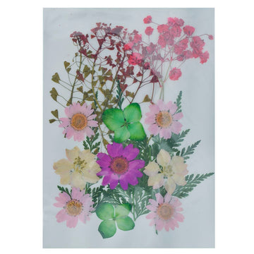 jags-mumbai Resin Art & Supplies Dried Flower Design 20 Pcs YWFL-15